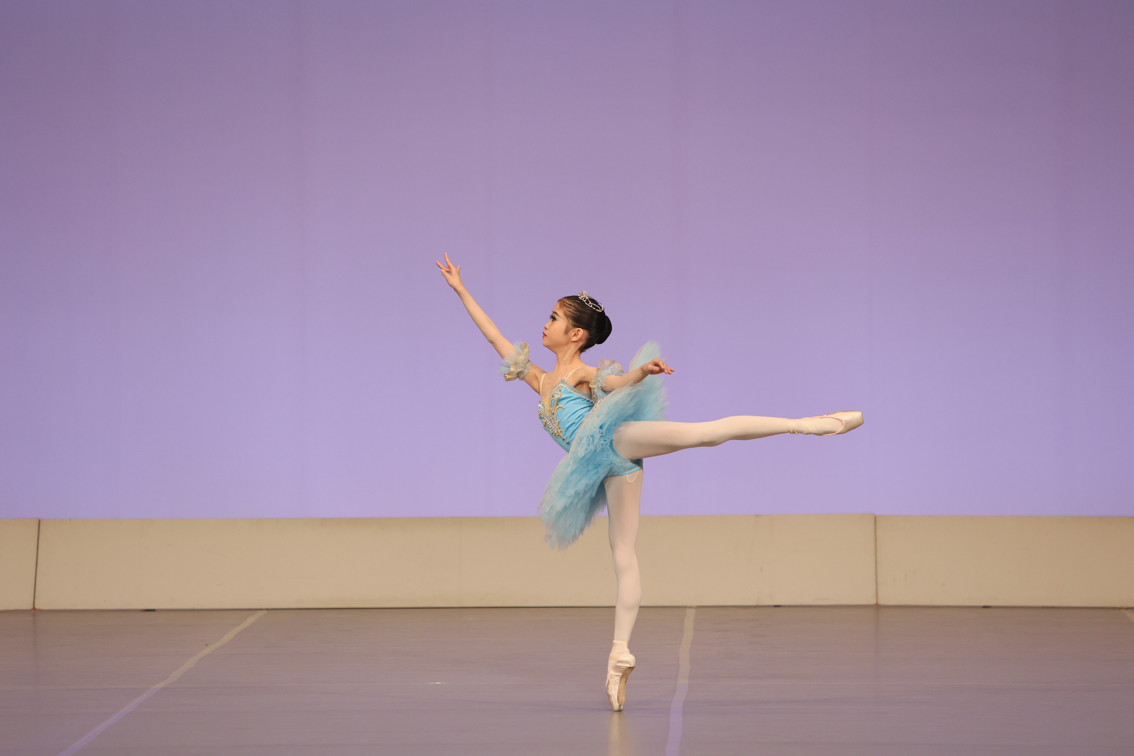 「眠れる森の美女」よりフロリナ王女のVa.