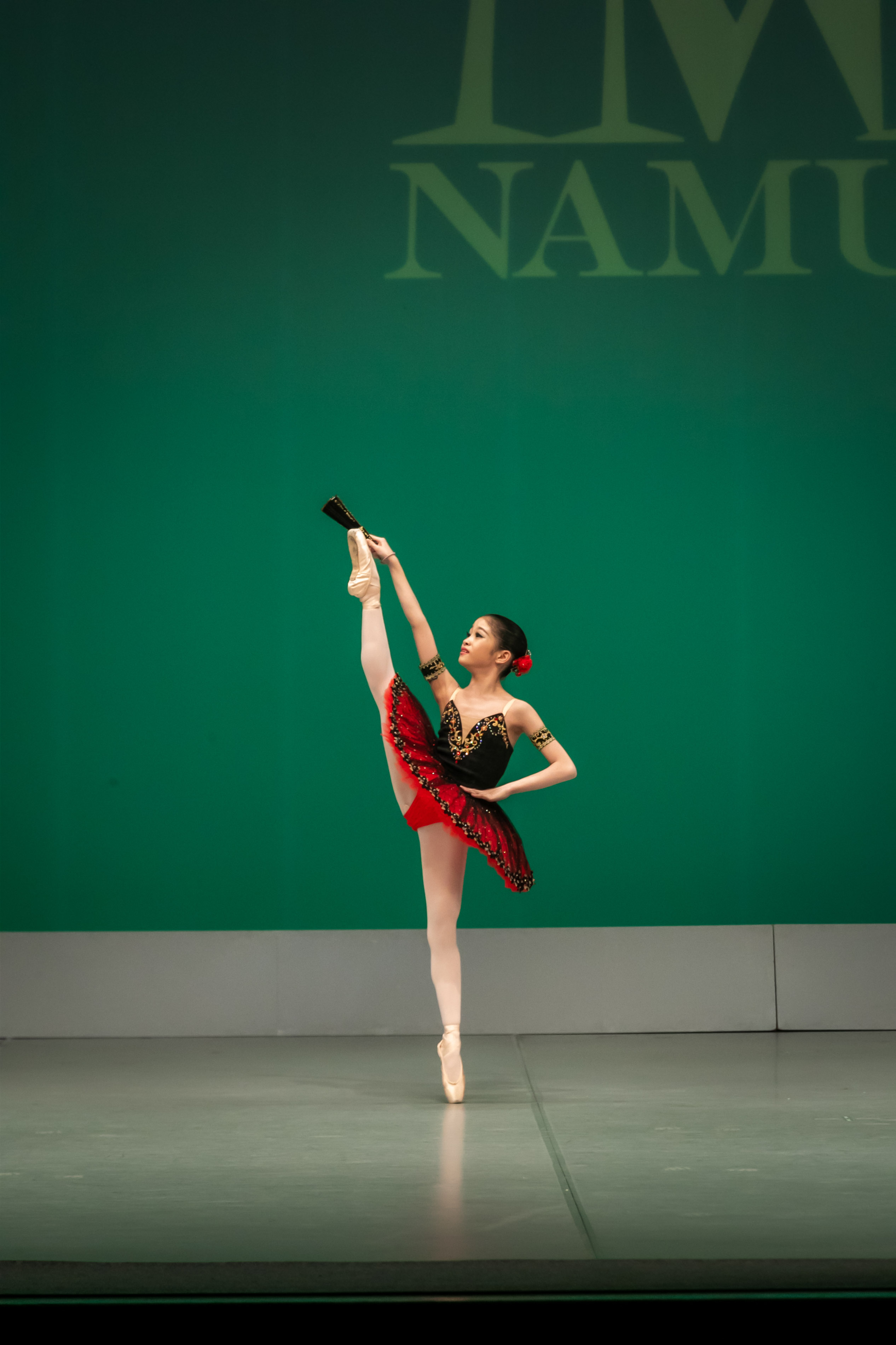 「ドン・キホーテ」第3幕よりキトリのVa.