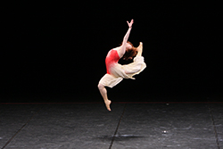 「私の存在を突き動かす深紅の血」