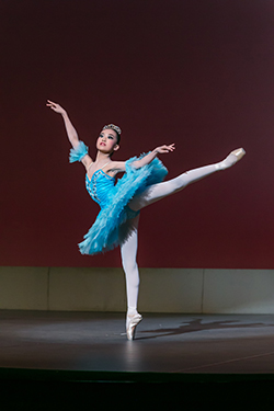 フロリナ王女のVa.